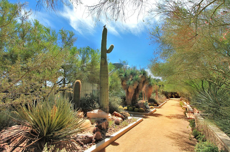 Botanical Garden at the Springs Preserve, United States
